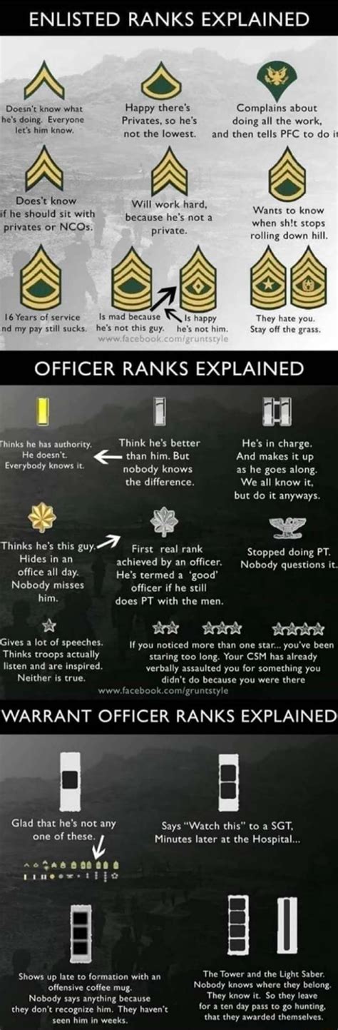 Difference between enlisted and officer - stlrety