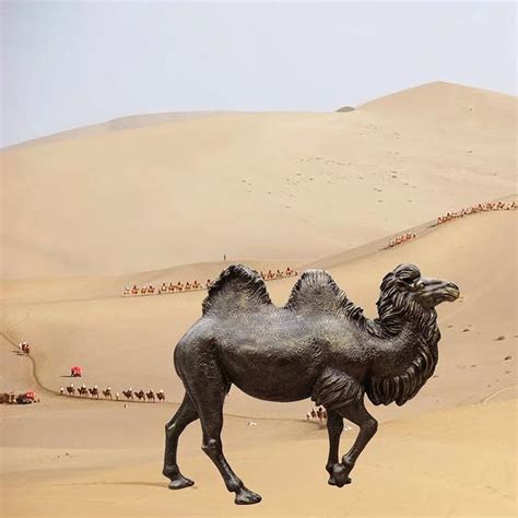 定制玻璃钢骆驼雕塑 仿真动物雕像 户外园林景观摆件_满天下艺术雕塑-站酷ZCOOL