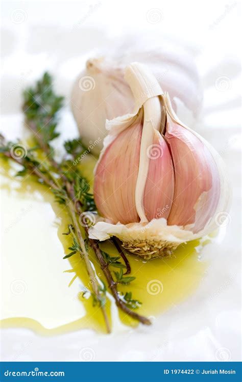 Cloves of Garlic and Sprig of Fresh Thyme Stock Photo - Image of dish ...