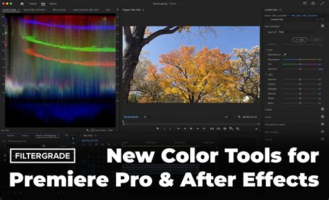 Color grading workflows in adobe premiere pro _ premiere pro grading ...