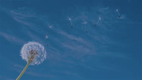 [原创]Windbg调试的重要功能——内核态与用户态进行切换-编程技术-看雪-安全社区|安全招聘|kanxue.com