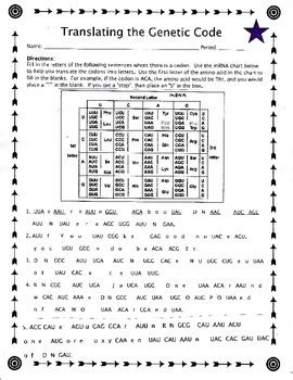 Image result for Protein Synthesis Practice Sheet the Genetic Code