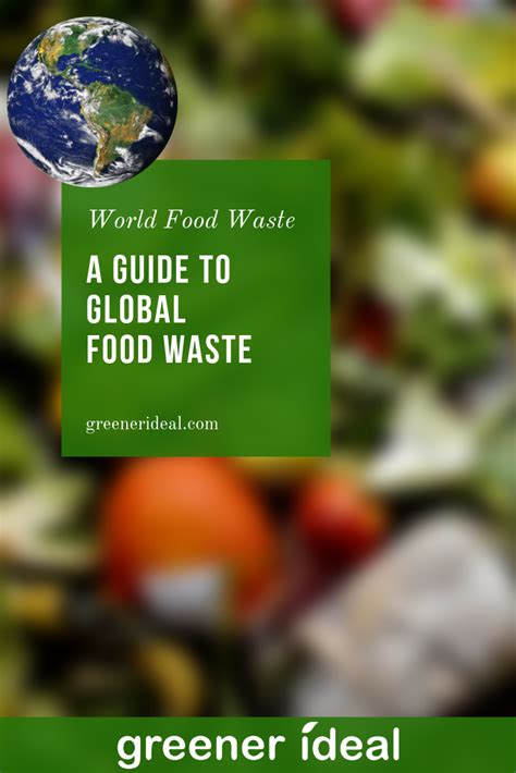 Image result for Food Waste Infographic