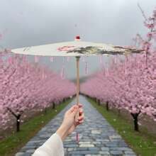 Handmade Chinese Umbrella Oiled Paper Parasol Art Dance Umbrella With ...