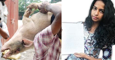 Teenage Girl Records ‘Pig Mafia’ Torturing A Street Pig For Slaughter ...