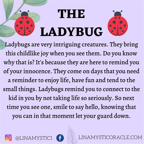 What Does It Mean When A Bug Lands On You at Claudia Aunger blog