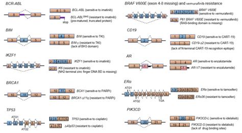 Aberrant RNA Splicing in Cancer and Drug Resistance