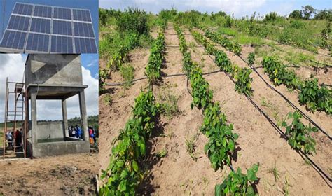Solar Irrigation system in Mozambique, SUPERKWICK LDA - energypedia