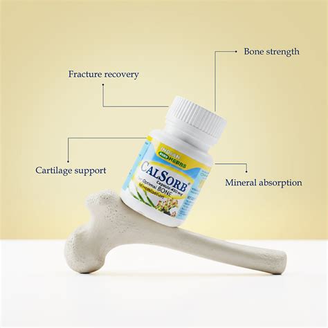 Herbal Calcium Absorption Supplement for Bone Health – CalSorb