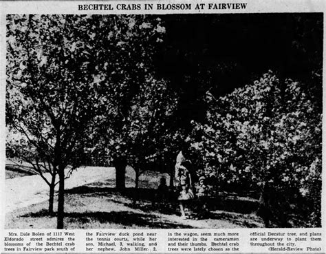 Decatur IL Then and Now 的图像结果