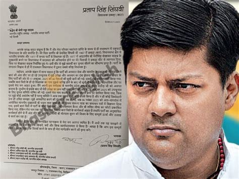 Was Dushyant Singh a key factor in BJP’s Anta defeat? - Rajasthan News ...