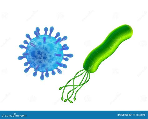 Virus and Bacteria. Difference in Structure of the Virus and Bacteria Cells Stock Vector ...