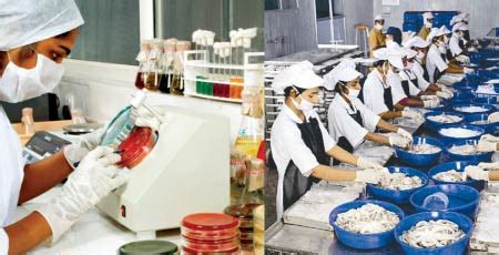 Evaluating Cold Chain effectiveness