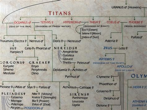 Zeus Family Tree Charts Of Greek Gods Family Of Zeus Family Tree