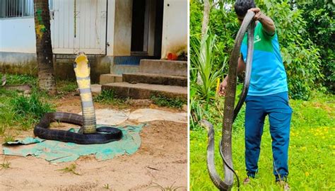 ಮಹಾನಾಯಕ