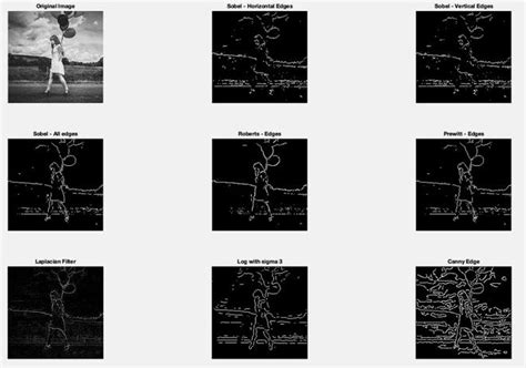 Image result for Digital image processing Algorithms