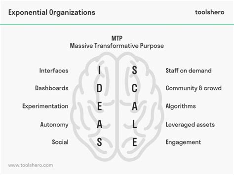 Image result for Exponential Function for Management