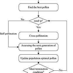 Image result for FPA Algorithm