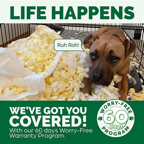 Buy Furhaven Comfy Couch Plush & Décor Sofa-Style Cooling Gel Foam Dog ...