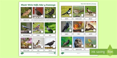 Syniadau Chwarae Tu Allan yn yr Haf | Twinkl Cymru - Twinkl