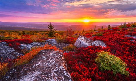 Guide to photographing Dolly Sods | Photographers Trail Notes