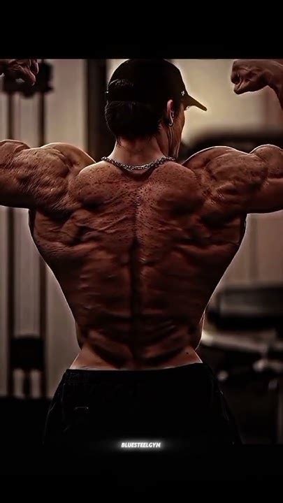 Sam Sulek Gym 的图像结果