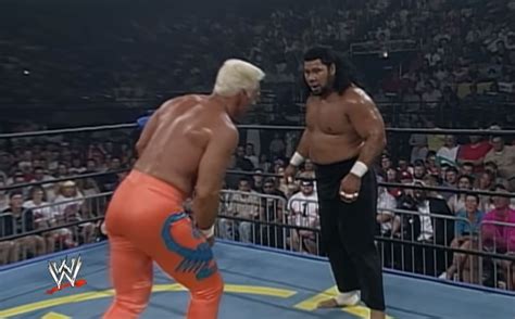 Meng WCW 1994 的图像结果