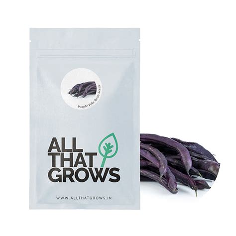 Buy Purple Pole Bean Seeds | Open-Pollinated Seeds