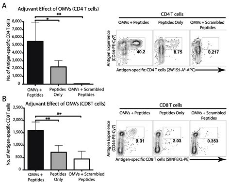 Bacterial-Derived Outer Membrane Vesicles are Potent Adjuvants that ...
