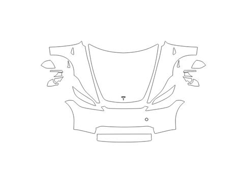 Purchase the patterns for body and interior protection of Tesla