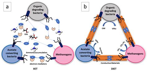 Prospect of Conductive Materials in the Anaerobic Digester Matrix for ...