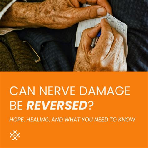Can Nerve Damage Be Reversed? - Nerve Renewal Neuropathy Clinic
