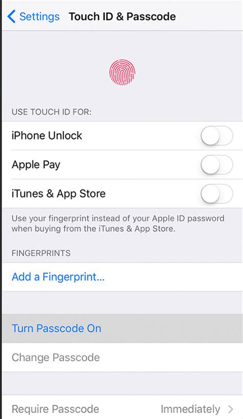 Image result for iPhone 6 iPad Passcode