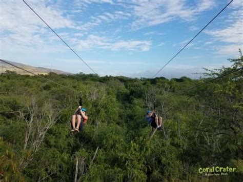 Half Zipline Tour (3 lines) 2022 - Oahu - Viator