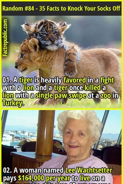 Most Random Facts 的图像结果