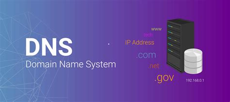 细数免费公共DNS服务器IP地址大全 - 老D网