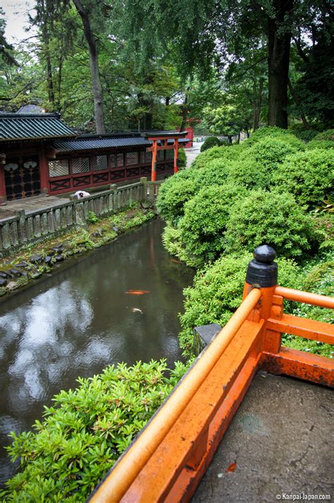 Image result for jinja