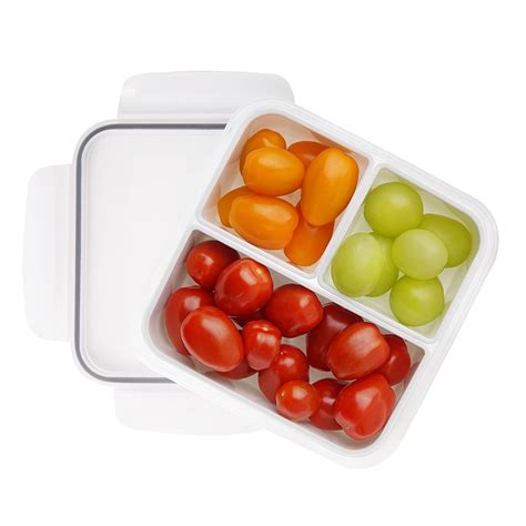 Buy carrotez Food Storage Containers, 3 Compartment Portion Control ...