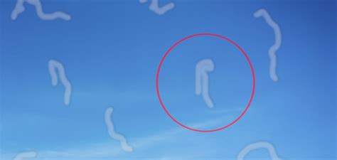 Image result for Eye Floaters Meme