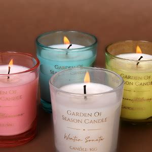 MINISO Candle Garden of Season Scented Wax Candle Combo Set Candles for ...