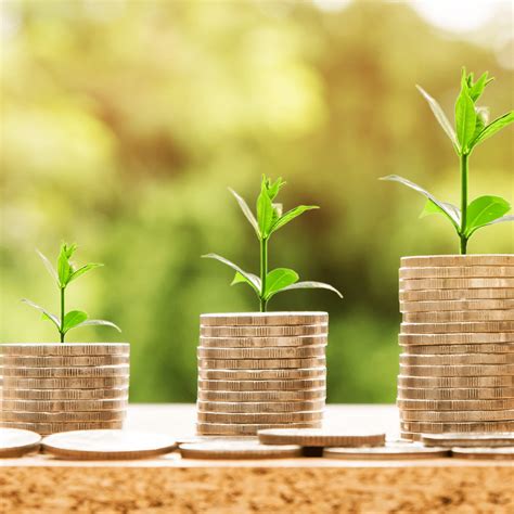 How Much Do Vets Earn On Average in the UK? Vet Salary UK