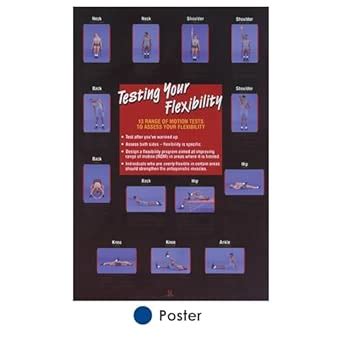 Testing Your Flexibility Poster : Kinetics, Human: Amazon.in: Books
