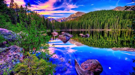 Image result for Colorado O2 Sensor Bank One