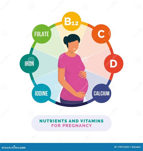 Nutrients and Vitamins for Pregnancy Stock Vector - Illustration of gestation, drugs: 179912343 - importance of nutrition in pregnant women
