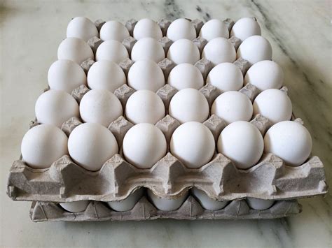 Eggs Dozen Cage at Albina Giese blog