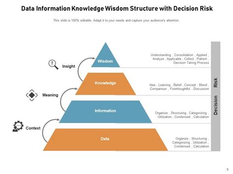 Image result for Data Pyramid Model
