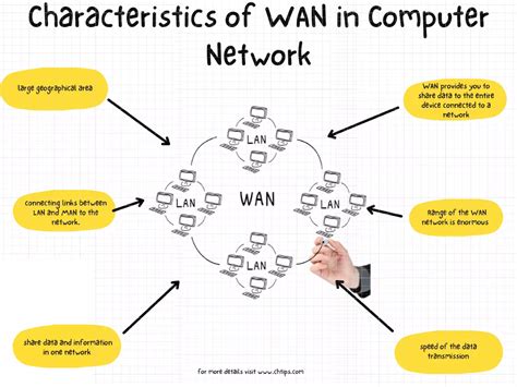 Wan Computer Network 的图像结果