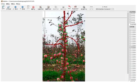 Agronomy | Special Issue : The Applications of Deep Learning in Smart ...