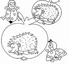 igel als malvorlage malvorlage igel malvorlagen 28 igel als malvorlage malvorlage igel malvorlagen 28