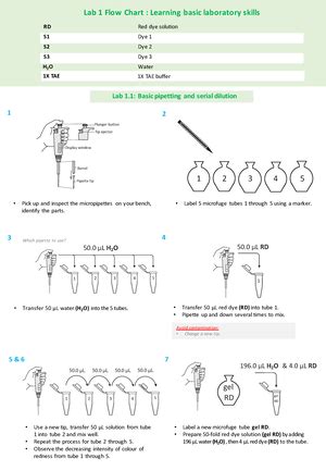 Image result for Lab Method Animated